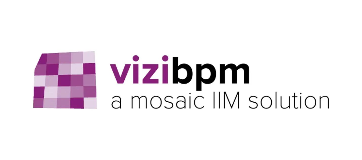 vizibpm web